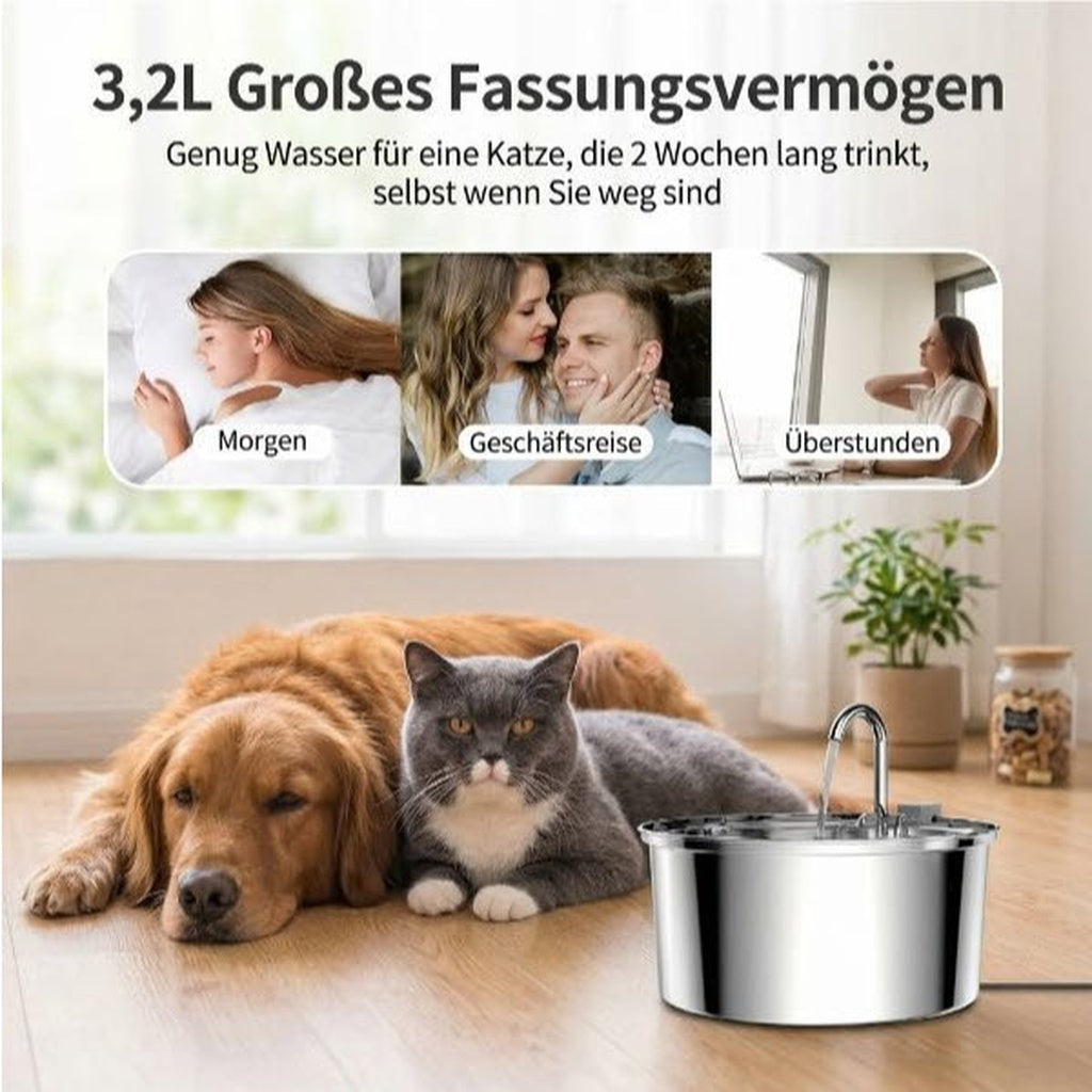 Trinkbrunnen aus Edelstahl für Hunde und Katzen – Frisches Wasser in Premium-Qualität