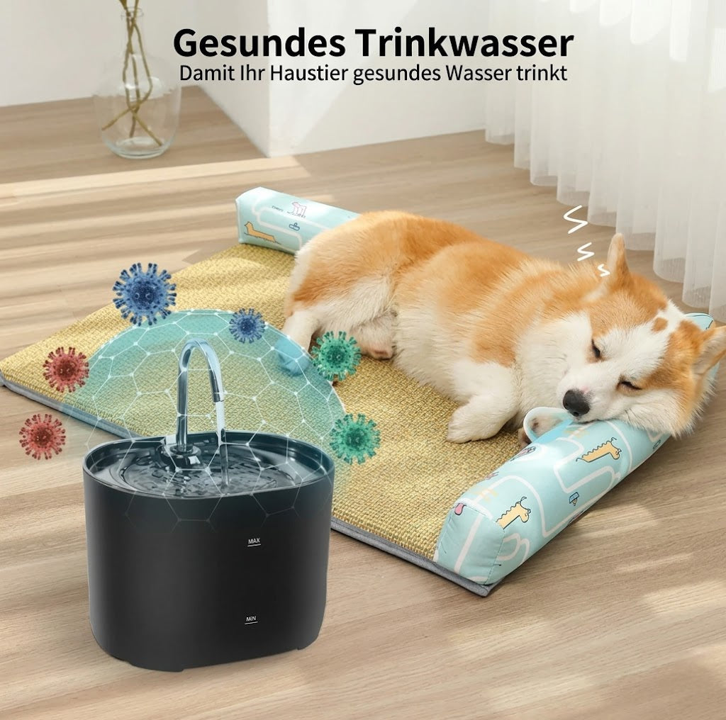 Trinkbrunnen für Hunde und Katzen – Frisches Wasser für gesunde Haustiere