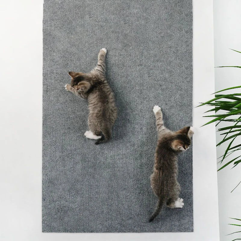 Selbstklebender Katzen-Kratzteppich – Ideal für Sofa, Wand und Ecken